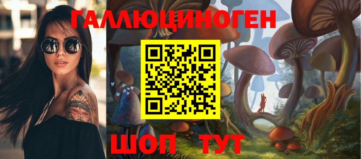 Галлюциногенные грибы Psilocybine cubensis Чернушка