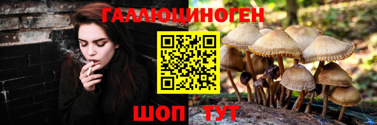 Псилоцибиновые грибы прущие грибы  Вход с VPN  наркотики  Чернушка 